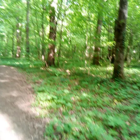 Сasa de vacaciones Schoenes Feriendomizil In Loosdorf (Melk)