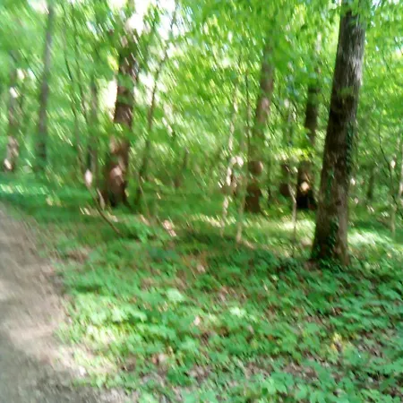 Сasa de vacaciones Schoenes Feriendomizil In Loosdorf (Melk)